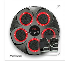 Боксерский тренажер EasyFit настенный музыкальный с подсветкой