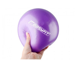 Мяч для пилатеса EasyFit 25 см фиолетовый